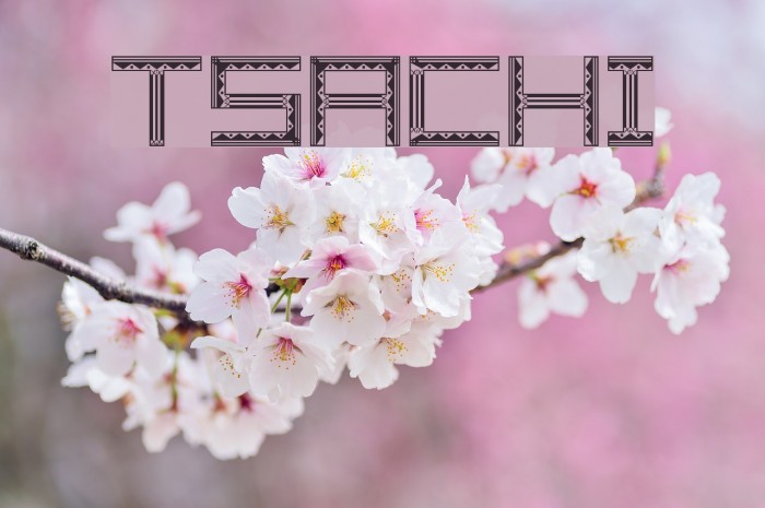 Tsachi Font examples