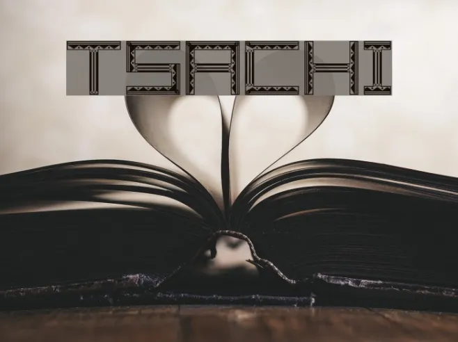 Tsachi Example 3