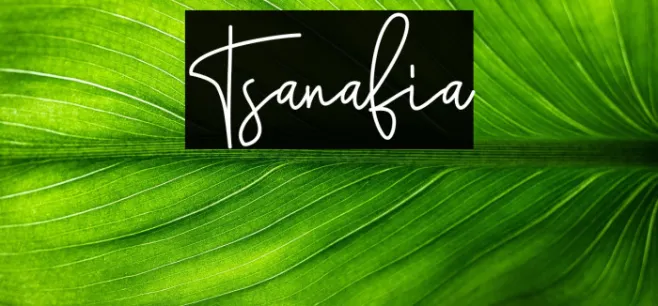 Tsanafia Example 1
