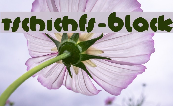 TschichFS-Black Font examples