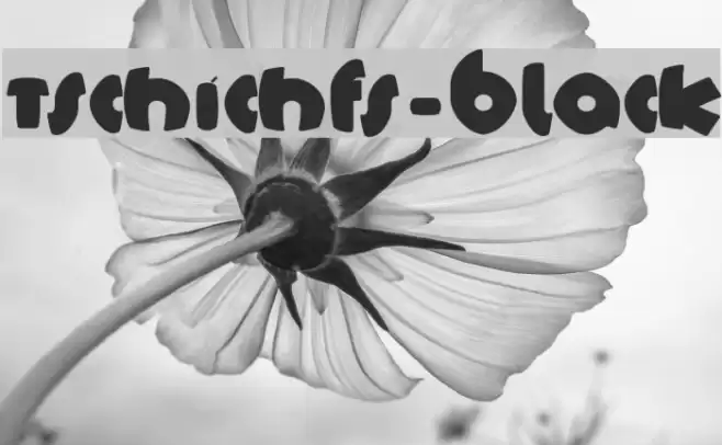 TschichFS-Black Schriftart examples