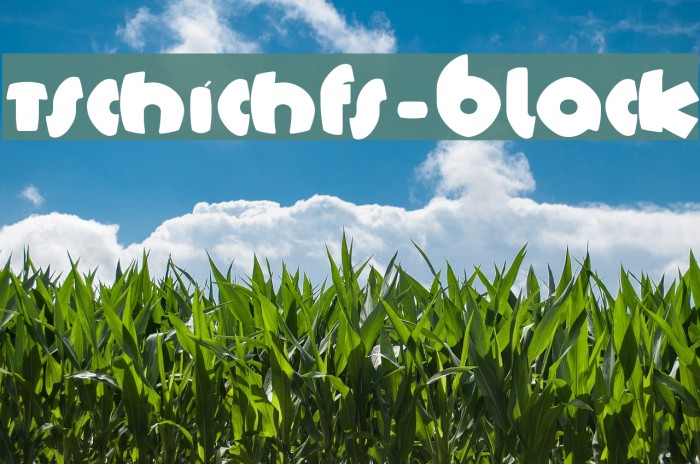 TschichFS-Black Font examples