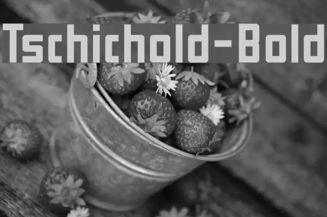 Tschichold-Bold Font examples