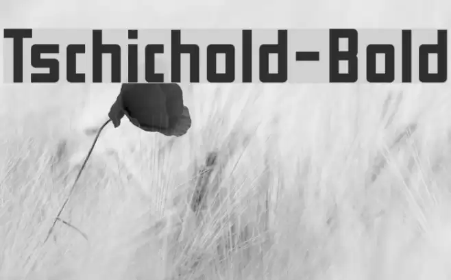 Tschichold-Bold Font examples