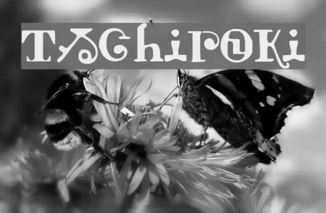 Tschiroki Font examples