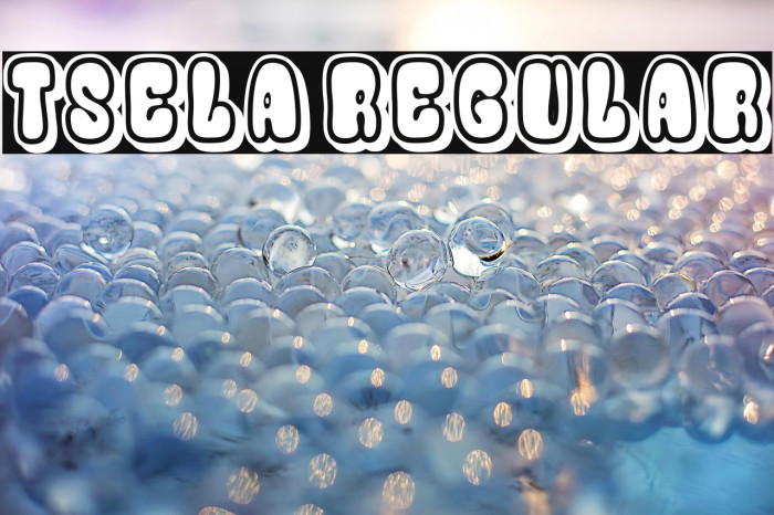 Tsela Regular Example 2