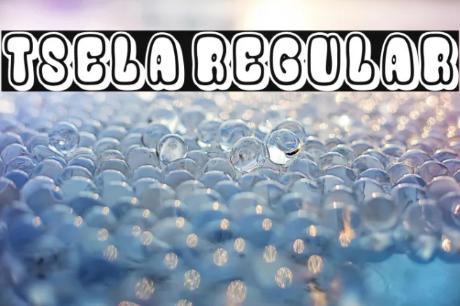Tsela Regular Example 2