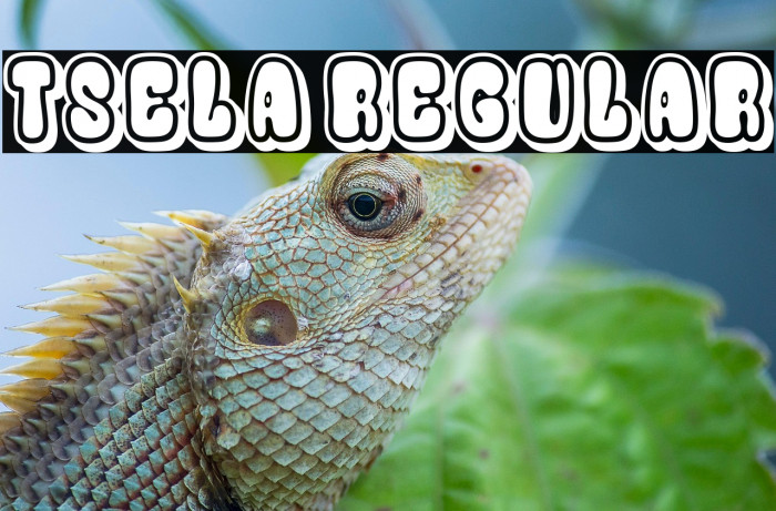 Tsela Regular Example 3