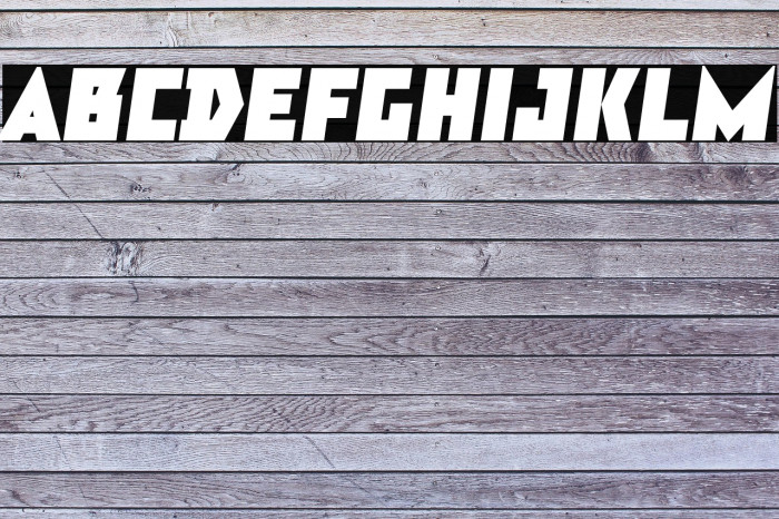 TT Bricks Trial Black Italic Example 1