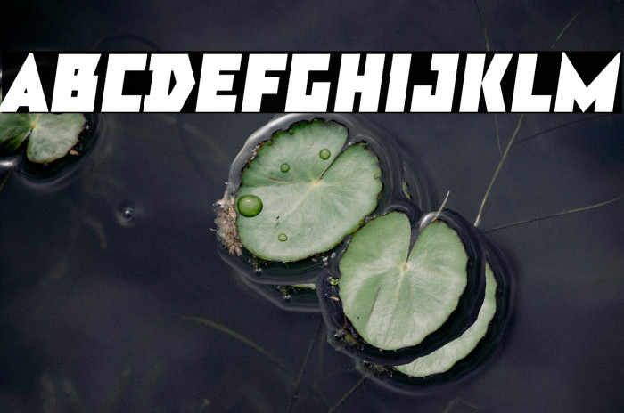 TT Bricks Trial Black Italic Example 2