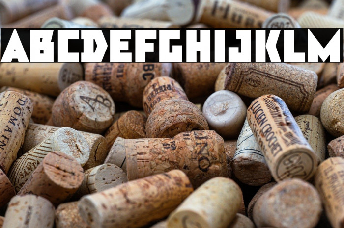 TT Bricks Trial Black Example 1