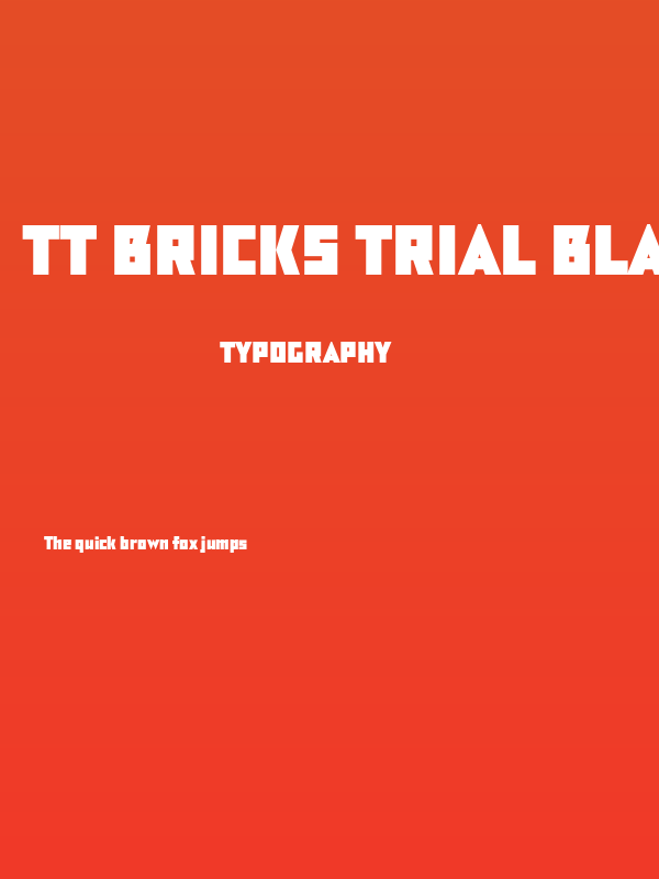 TT Bricks Trial Black Poster