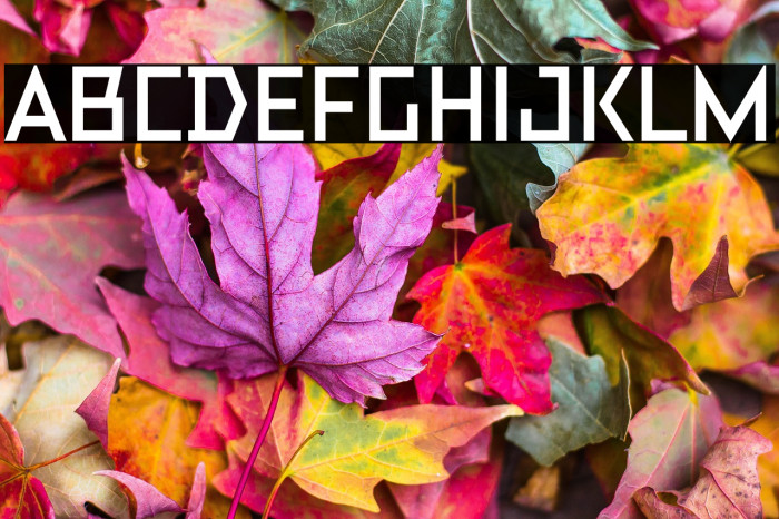 TT Bricks Trial Bold Example 3