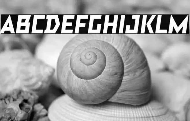 TT Bricks Trial Extrabold Italic Polices examples