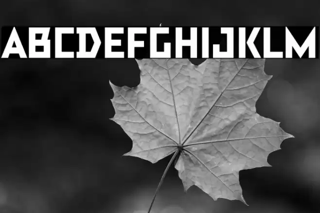 TT Bricks Trial Extrabold Font examples