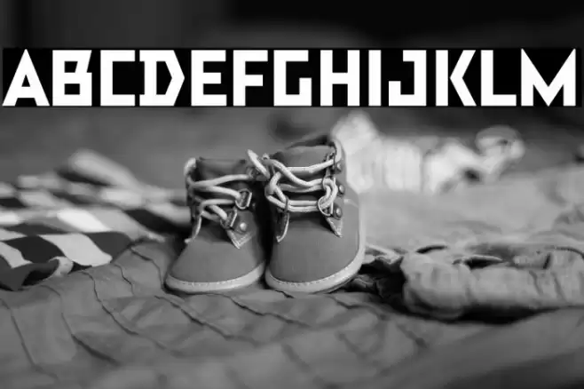 TT Bricks Trial Extrabold Font examples