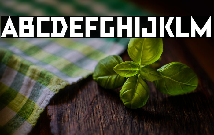 TT Bricks Trial Extrabold Example 3