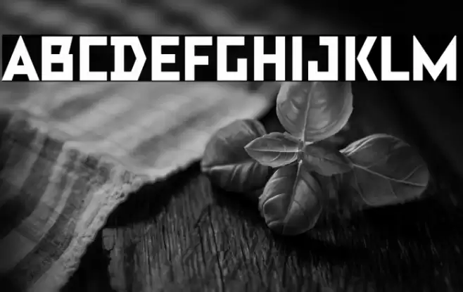 TT Bricks Trial Extrabold Font examples