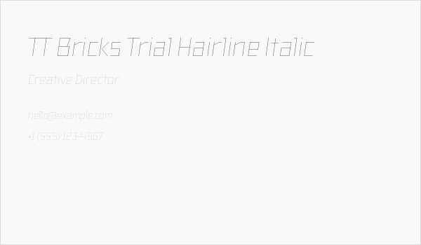 TT Bricks Trial Hairline Italic Business Card
