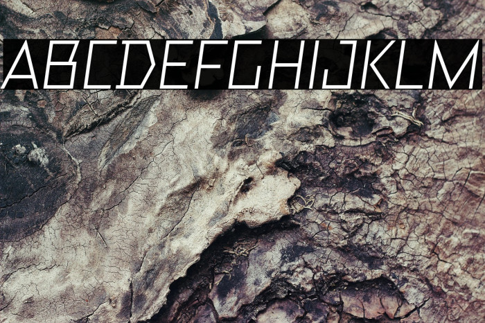 TT Bricks Trial Italic Example 2