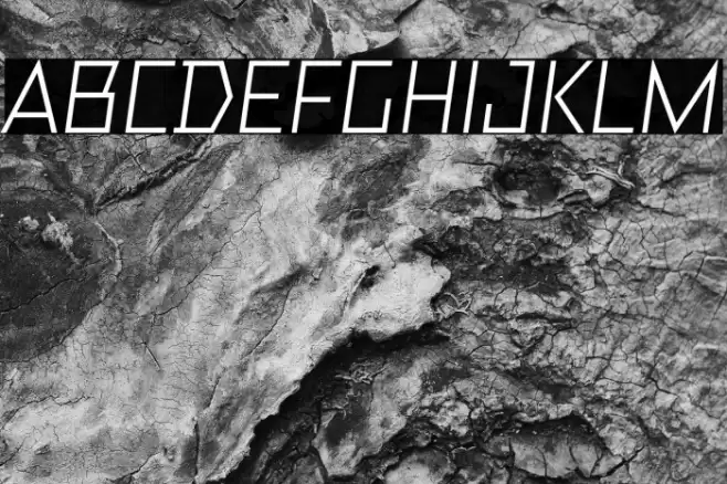 TT Bricks Trial Italic Font examples