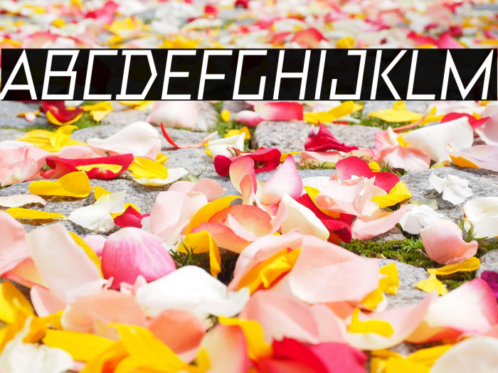 TT Bricks Trial Medium Italic Example 2