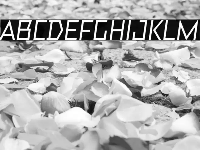 TT Bricks Trial Medium Italic Schriftart examples