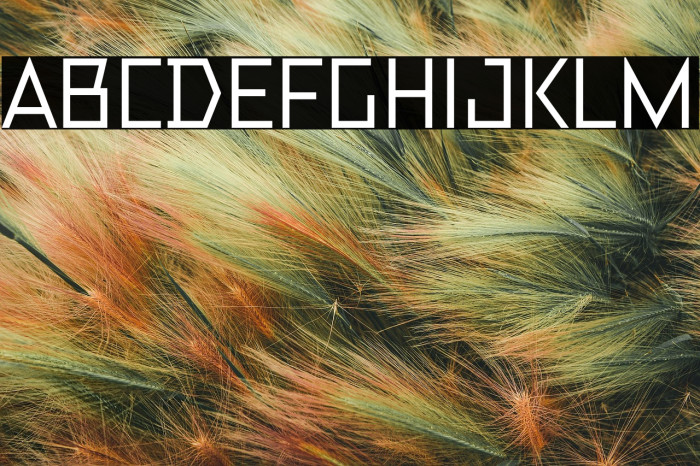 TT Bricks Trial Medium Example 1