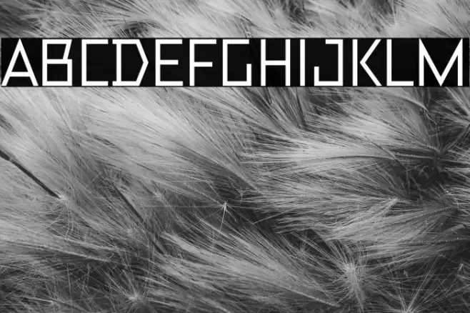 TT Bricks Trial Medium Caratteri examples