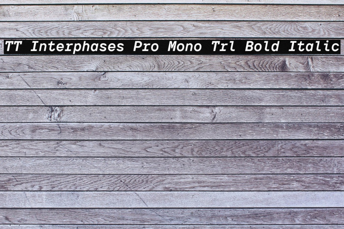 TT Interphases Pro Mono Trl Bold Italic Example 1