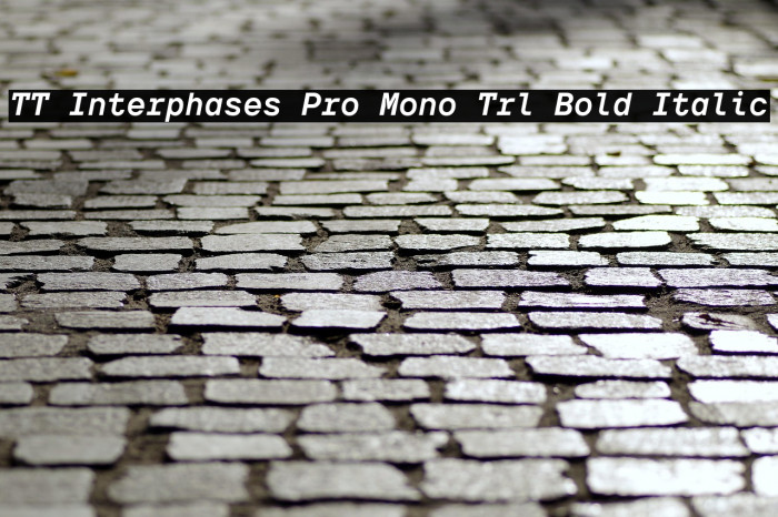 TT Interphases Pro Mono Trl Bold Italic Example 3