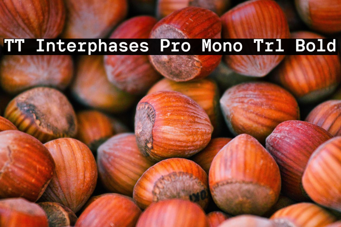 TT Interphases Pro Mono Trl Bold Example 2