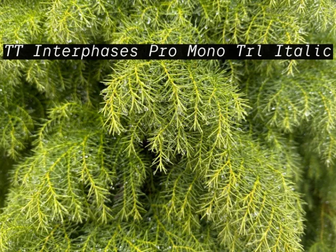 TT Interphases Pro Mono Trl Italic Example 1