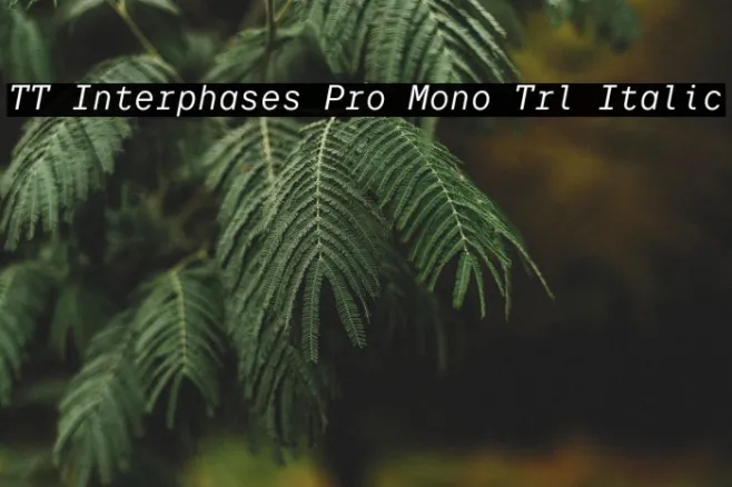 TT Interphases Pro Mono Trl Italic Example 3