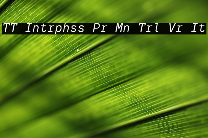 TT Intrphss Pr Mn Trl Vr It Example 2