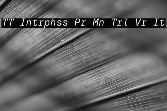 TT Intrphss Pr Mn Trl Vr It Font examples