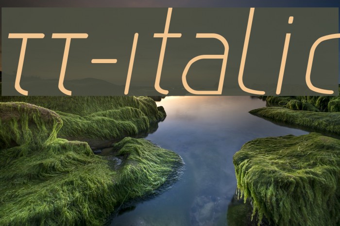TT-Italic Font examples