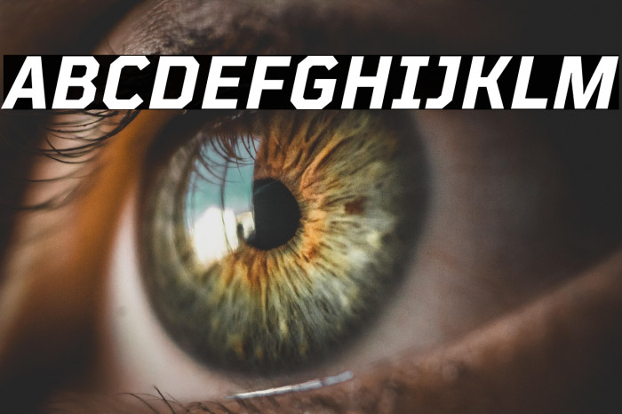 TT Mussels Trl Bold Italic Example 2