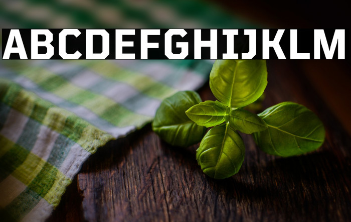 TT Mussels Trl Bold Example 1