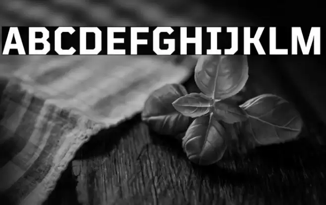 TT Mussels Trl Bold Font examples