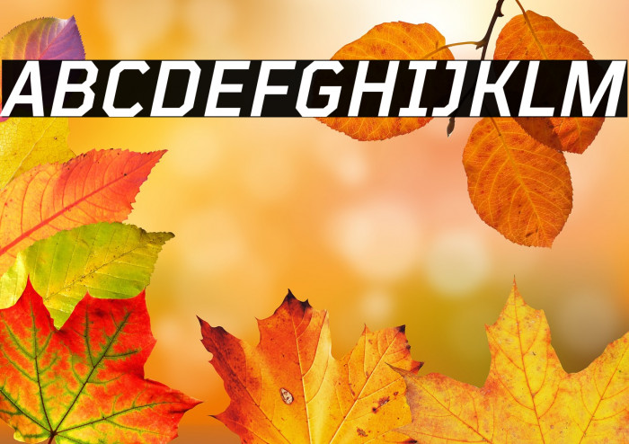 TT Mussels Trl DemiBold Italic Example 2