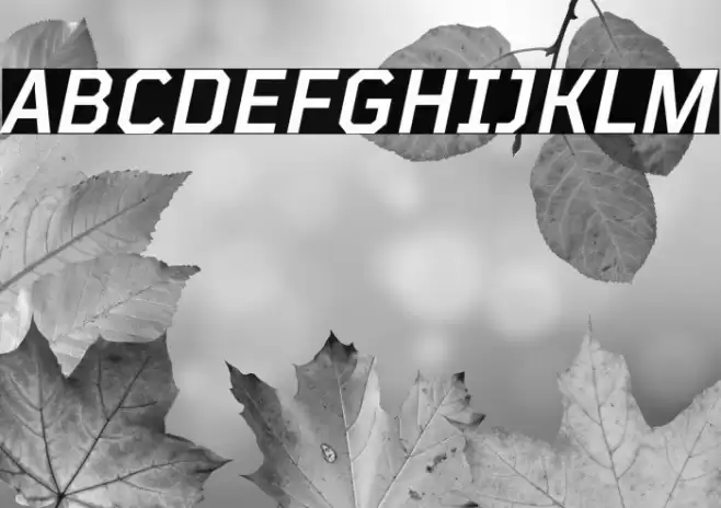 TT Mussels Trl DemiBold Italic Font examples