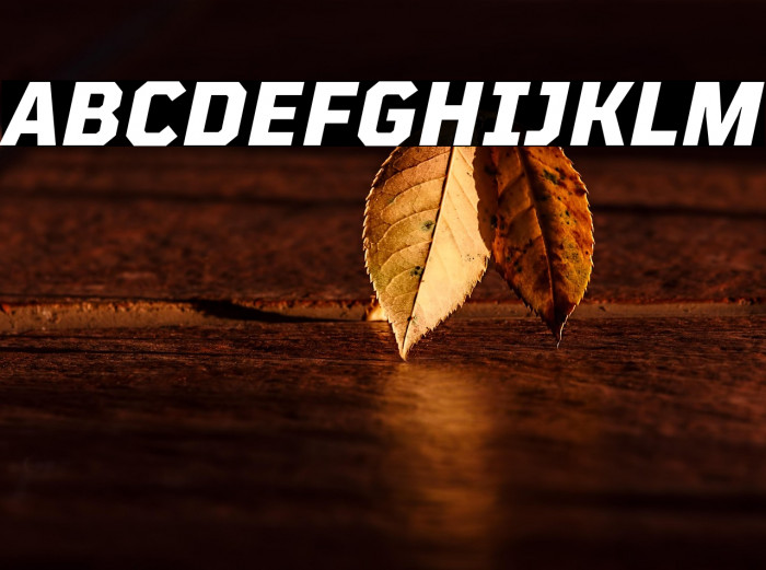 TT Mussels Trl ExtraBold Italic Example 1