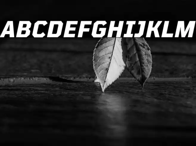 TT Mussels Trl ExtraBold Italic Schriftart examples