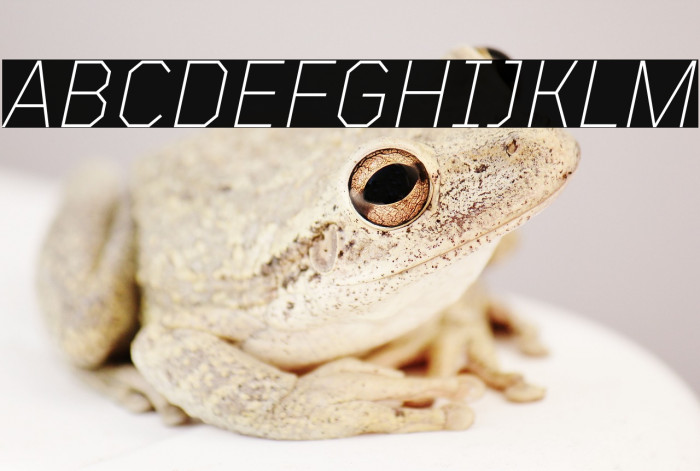 TT Mussels Trl ExtraLight Italic Example 1