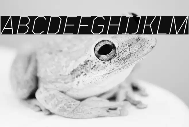 TT Mussels Trl ExtraLight Italic Font examples