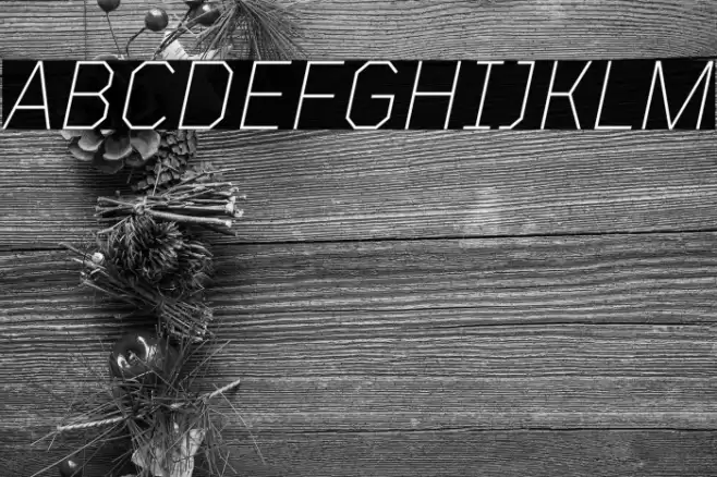 TT Mussels Trl ExtraLight Italic Font examples