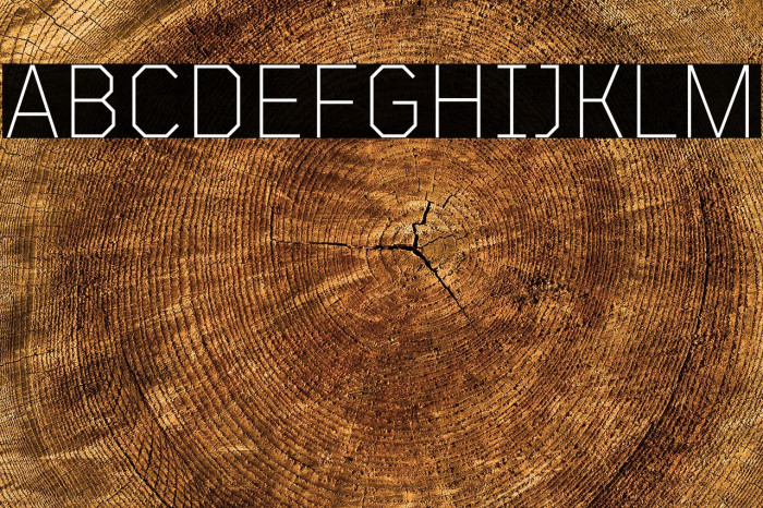 TT Mussels Trl ExtraLight Example 3