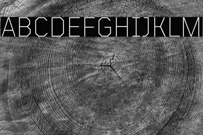 TT Mussels Trl ExtraLight Schriftart examples