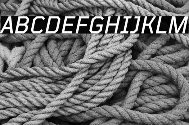 TT Mussels Trl Medium Italic خط examples